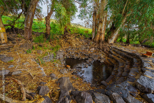 Obraz na płótnie Ein Amphi Spring, in the Golan Heights w salonie