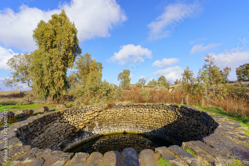 Obraz na płótnie Ein Mokesh, Natural water pool in the Golan Heights w salonie