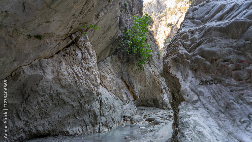 Stream in deepest narrow stone canyon Saklikent in national park in Mugla Province in southwestern Turkey Stream in deepest narrow stone canyon Saklikent in national park in Mugla Province in southwestern Turkey