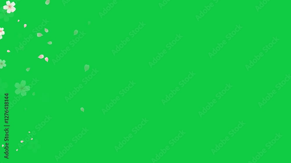 spring flowers cherry blossoms and petals trail transition on green background loop animation, cosmetics and beauty season sale overlay motion design element spring flowers cherry blossoms and petals trail transition on green background loop animation, cosmetics and beauty season sale overlay motion design element