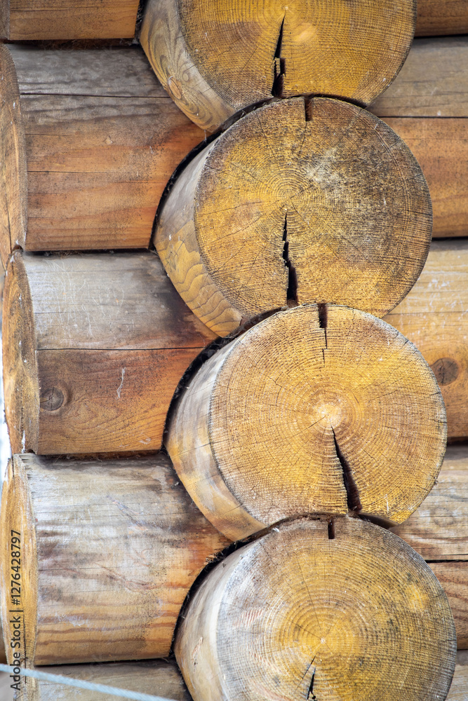 A row of wooden logs, some of which have been cut in half A row of wooden logs, some of which have been cut in half