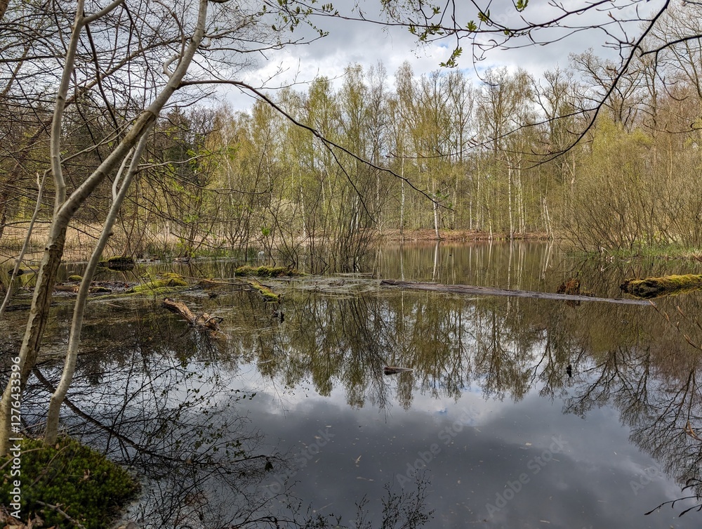 A tranquil pond reflects the budding greenery of early spring, mirroring the sky and surrounding trees in its still surface A tranquil pond reflects the budding greenery of early spring, mirroring the sky and surrounding trees in its still surface