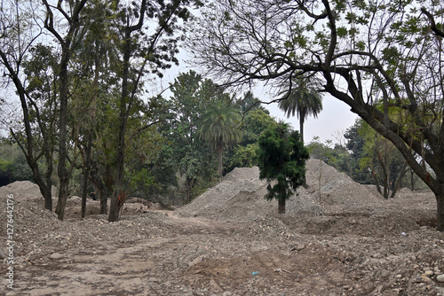 Dirt and gravel piles in a park-like setting with trees, including several palm trees.