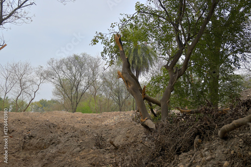 A landscape features an eroded, sandy terrain with sparse vegetation.