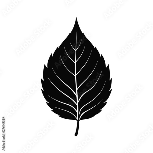 leaf vector illustration