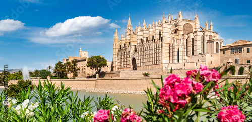 Palma's Parc de La Mar with Cathedral of St. Mary, called La Seu - Palma de Mallorca photo