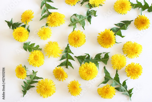 Yellow spring flower dandelion isolated on white background. Easter card with space for your greetings.