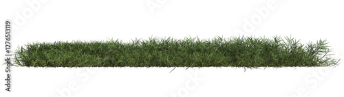 3d render of Bermuda grass, bush,isolated over transparent background, PNG cut-out