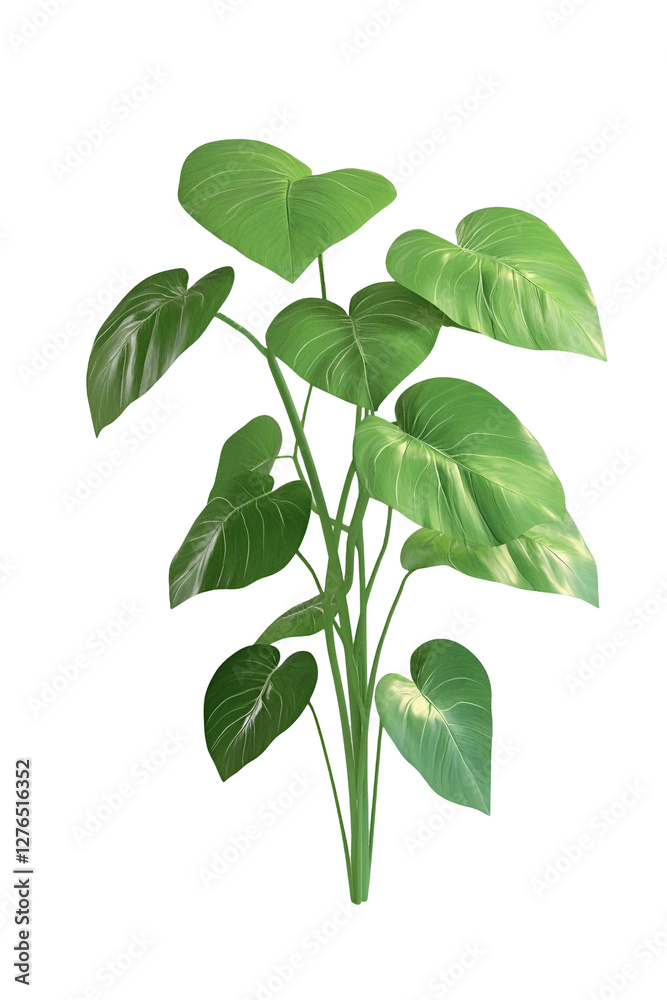 green plant isolated on white background green plant isolated on white background