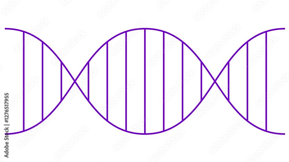 Animated line violet icon of gene. Linear medical purple symbol is drawn. Concept of DNA, genetics, medicine, genetic engineering. Looped video. Vector illustration isolated on white background. Animated line violet icon of gene. Linear medical purple symbol is drawn. Concept of DNA, genetics, medicine, genetic engineering. Looped video. Vector illustration isolated on white background.