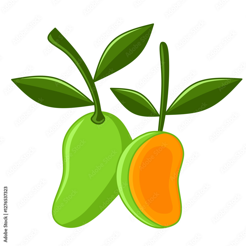Graphic vector illustration of fresh green mango fruit and ripe mango slices with leaves isolated on white background, depicting tropical fruit. Graphic vector illustration of fresh green mango fruit and ripe mango slices with leaves isolated on white background, depicting tropical fruit.