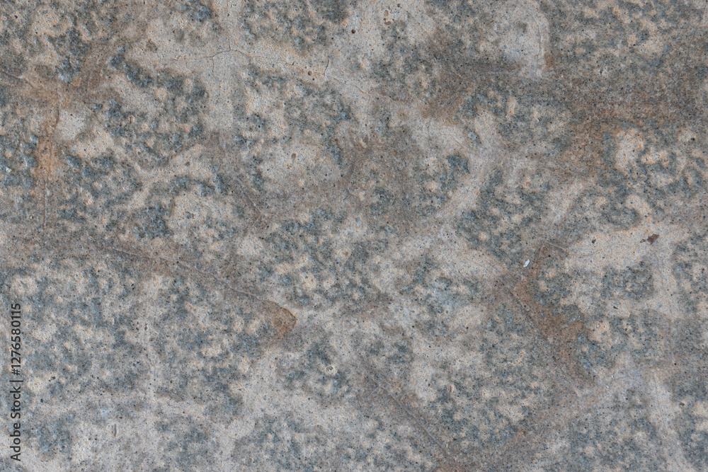 Texture of grey concrete wall for background. Texture of grey concrete wall for background.