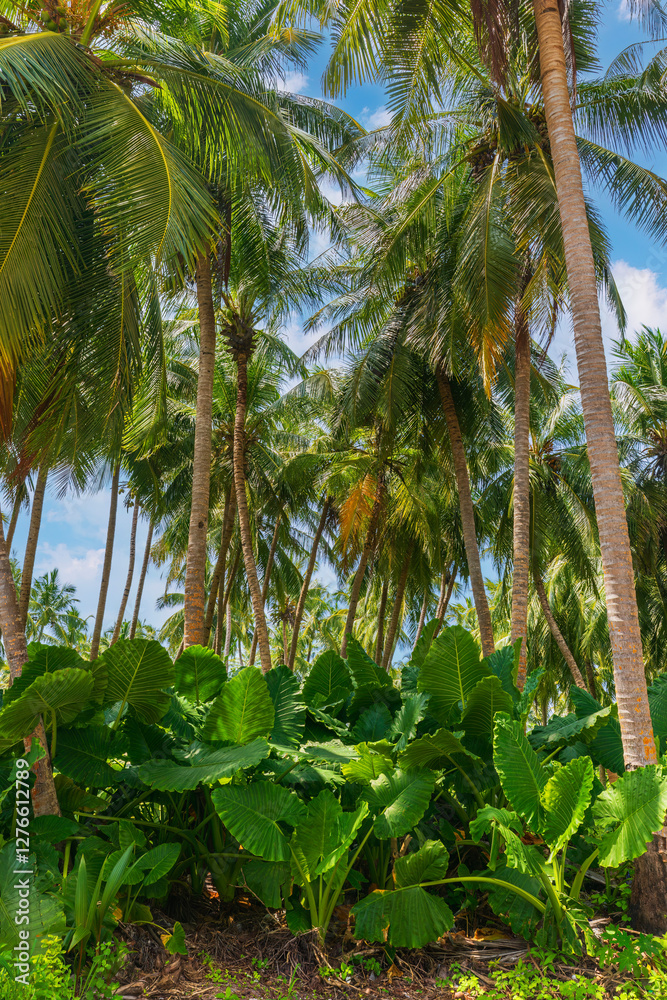 Obraz premium Flora on Thoddoo Island in the Maldives