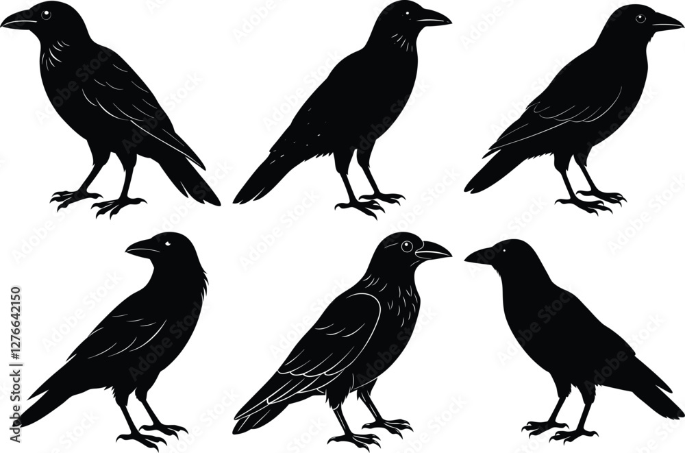 Fototapeta premium Black Crow Silhouettes, Drawing Crow Bird Silhouette vector set