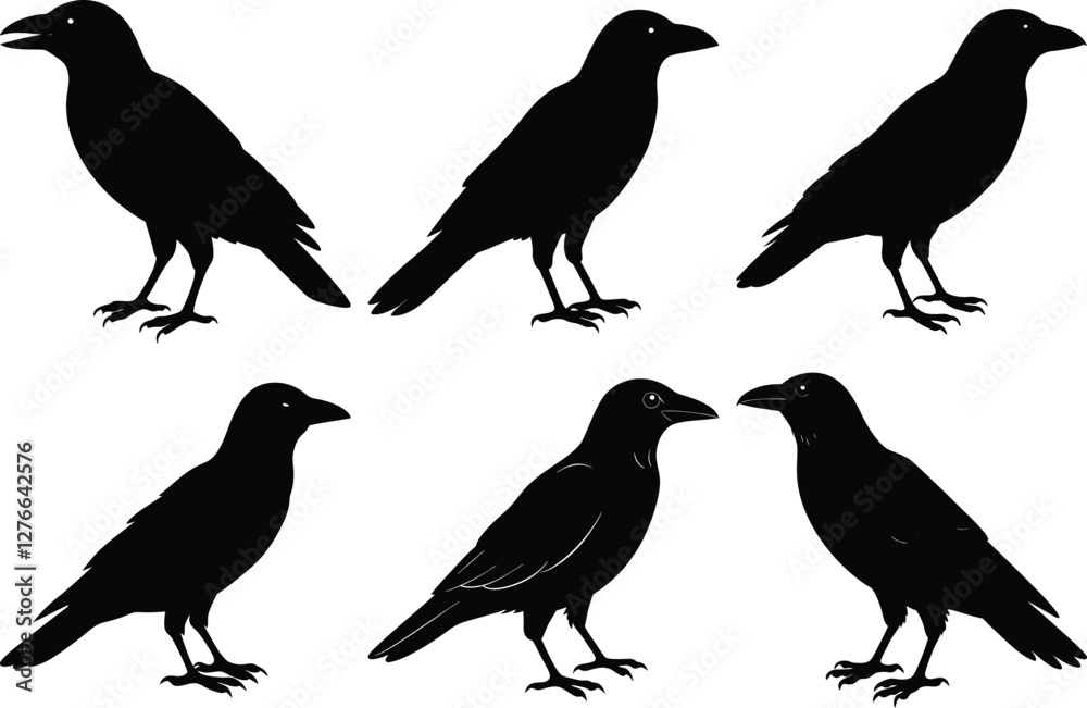 Fototapeta premium Black Crow Silhouettes, Drawing Crow Bird Silhouette vector set