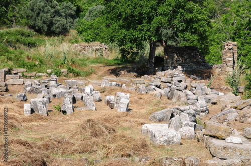 Labranda Ancient City in Mugla, Turkey. photo