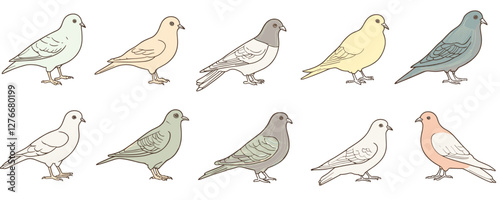 Colorful cartoon pigeons in a row: ten unique birds illustrating diversity. Vector