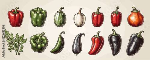 Diverse collection of colorful peppers and vegetables in a hand-drawn style. Vector