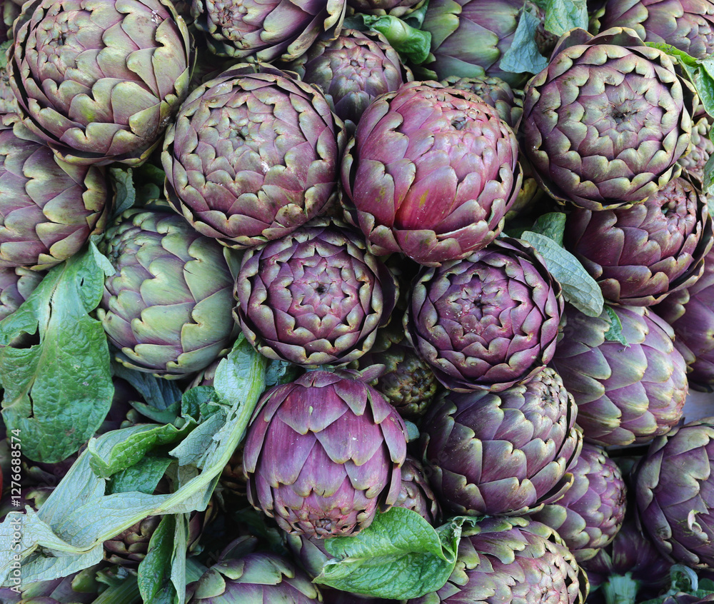 Fototapeta premium many ripe artichokes for sale at the market called MAMME in Italian