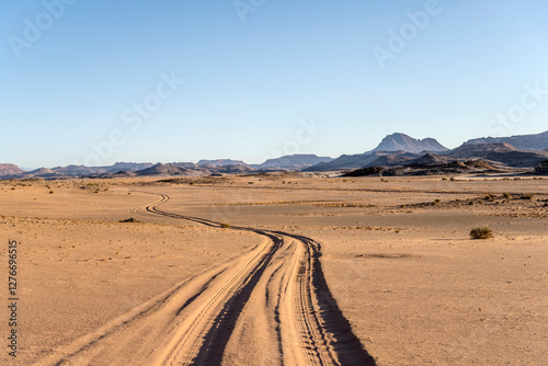 Obraz na płótnie tyre tracks on desert sand, near Twyfelfontein, Namibia w salonie