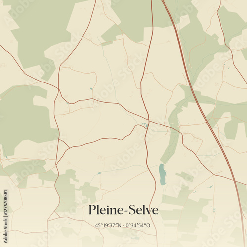 Vintage map of Pleine-Selve, France.