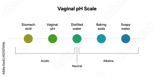 Women female vaginal ph scale balance. Intimacy Acidic, neutral and alkaline scale ph levels