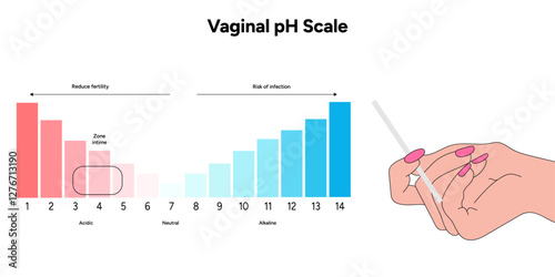 Women female vaginal ph scale balance. Intimacy Acidic, neutral and alkaline scale ph levels