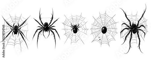 Illustration of five black spiders with webs on a white background. Vector
