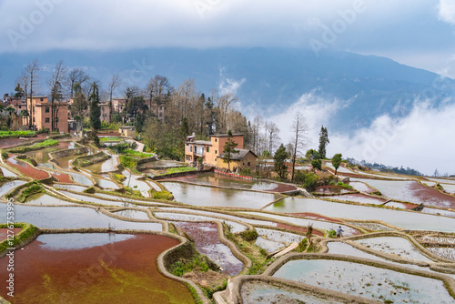 rice terraces of yuanyang in yunnan, china photo