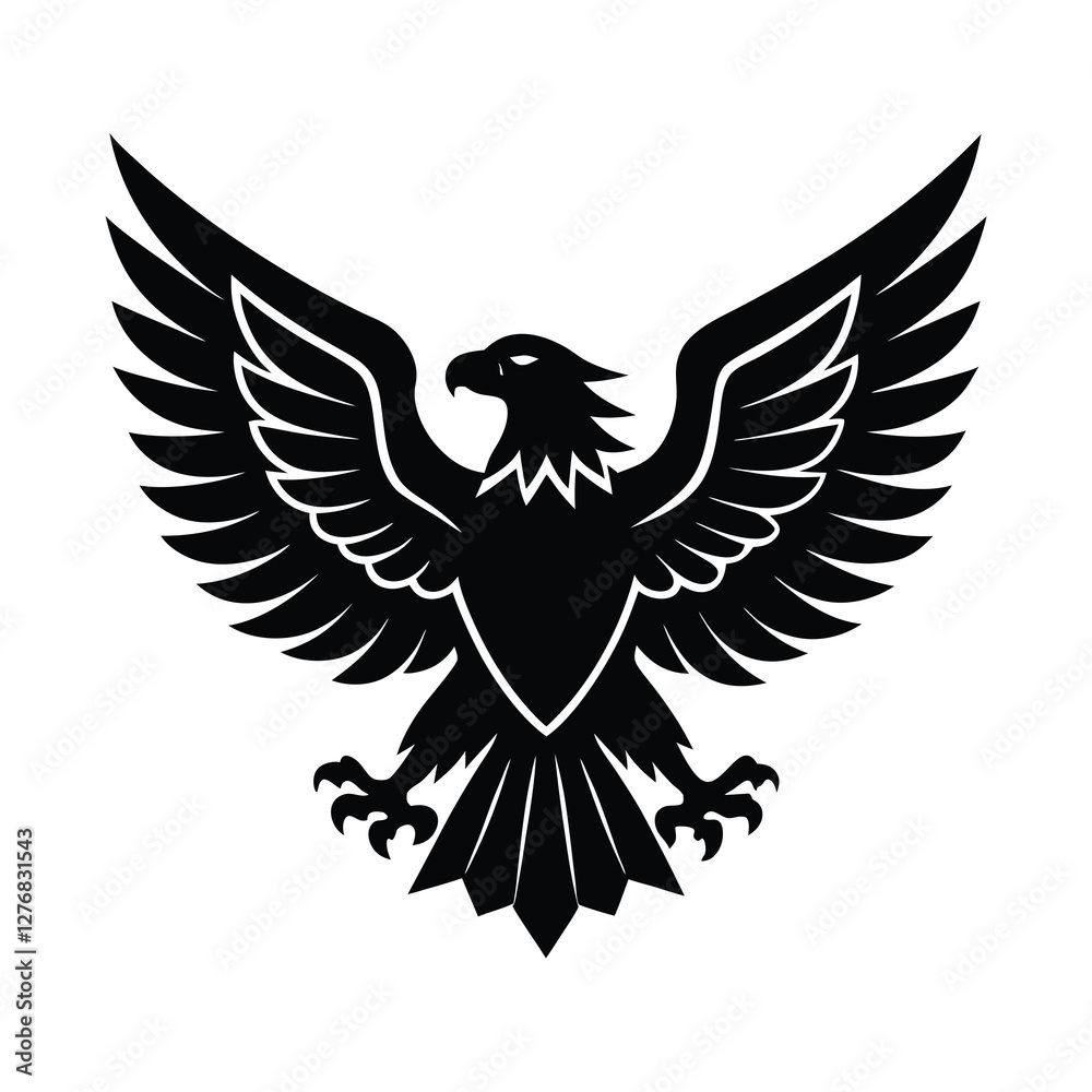 Obraz premium eagle with wings