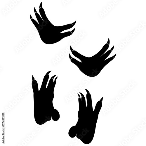 koala footprint, koala track. Koala steps.