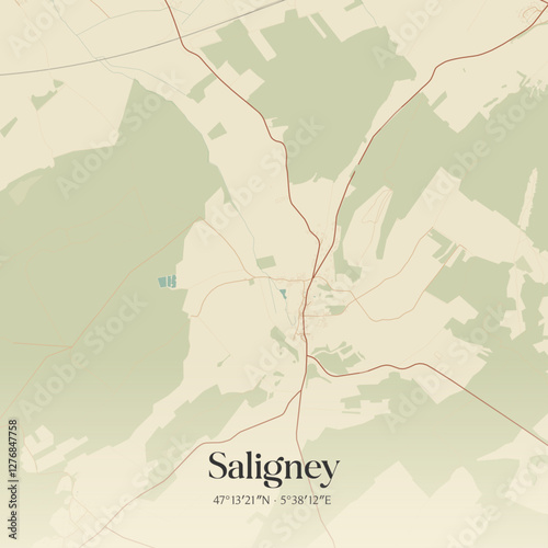 Vintage map of Saligney, France.