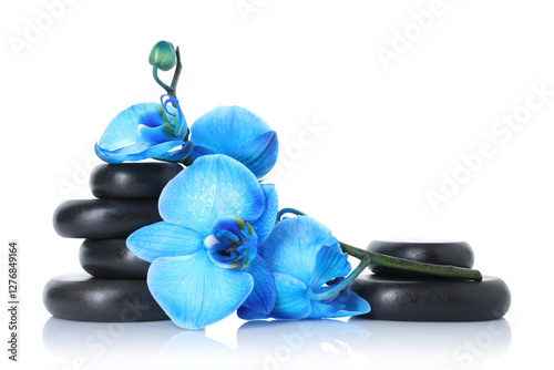 Beautiful blue orchid flowers and spa stones on mirror surface against white background