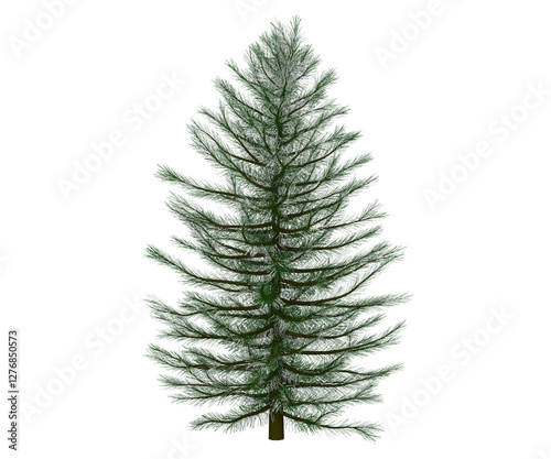 3d rendering small pine tree