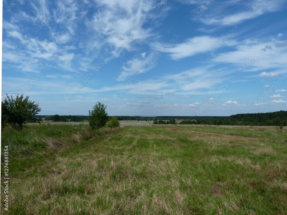 A wide open field stretches across the landscape, dotted with patches of grass and sparse trees. The sky is clear with a mix of clouds, reflecting a peaceful afternoon. A wide open field stretches across the landscape, dotted with patches of grass and sparse trees. The sky is clear with a mix of clouds, reflecting a peaceful afternoon.
