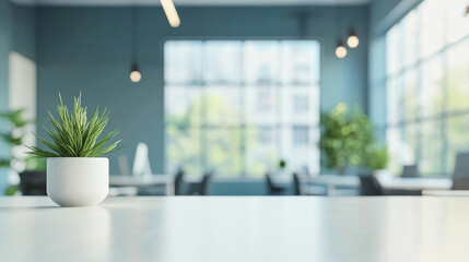 Bright and minimalistic office interior with greenery and natural light for productive meetings