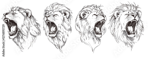 Four roaring lion illustrations with fierce expressions in black and white. Vector