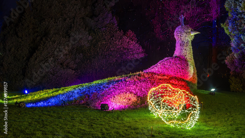 Christmas Garden - light creations at the Island of Mainau, lake Constance