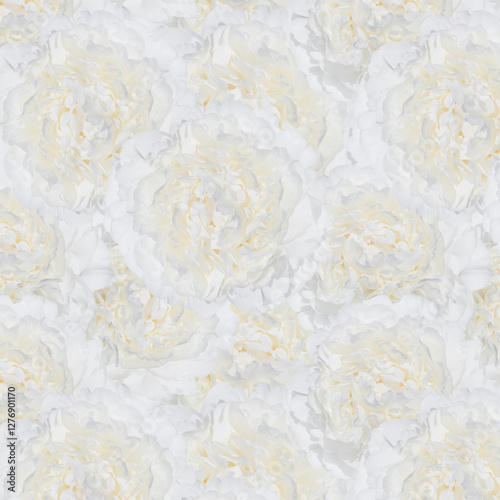 Elegant White Peony Blossoms Forming a Sophisticated Background