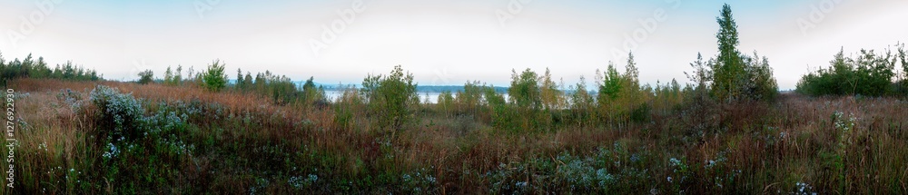 Panorama of an autumn tree and wild chrysanthemum flowers on a large lawn. Panorama of an autumn tree and wild chrysanthemum flowers on a large lawn.