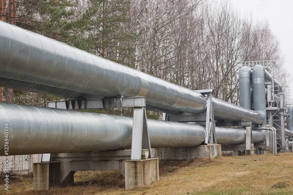 pipeline line against grey sky and forest pipeline line against grey sky and forest