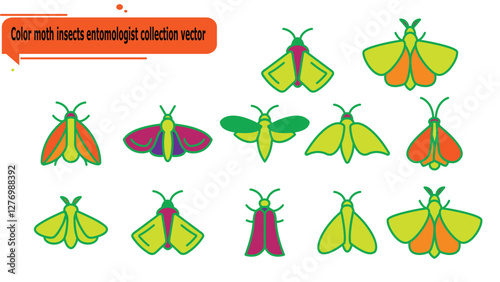 Color moth insects entomologist collection vector