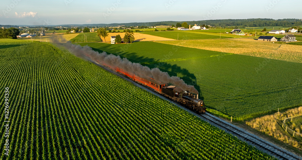 Obraz premium A vintage steam train travels along the tracks, emitting large plumes of smoke as it passes through expansive green fields. The scene is set in a tranquil rural landscape during late afternoon.