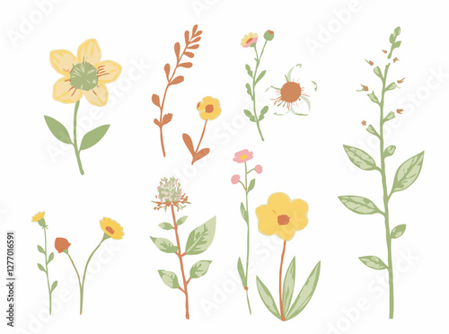 Botanical Vector Illustrations with a Hand-Drawn Feel