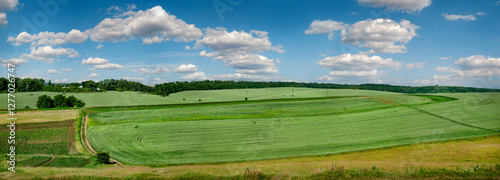 panoramic view of cereal fields and agricultural landscapes under a beautiful...