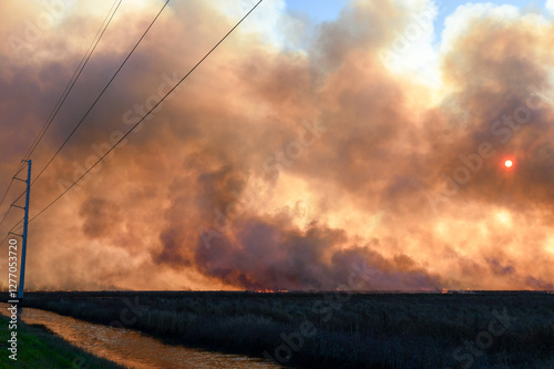 Obraz na płótnie Middleton Fire near Stowell in Texas w salonie