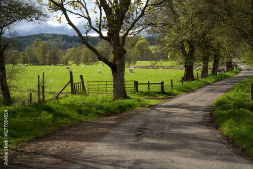 Scotland narrow country lane