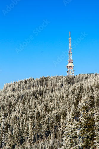 Fototapeta Naklejka Na Ścianę i Meble -  View of mountains covered by fir trees on bright sunny day, Beskidy, Poland