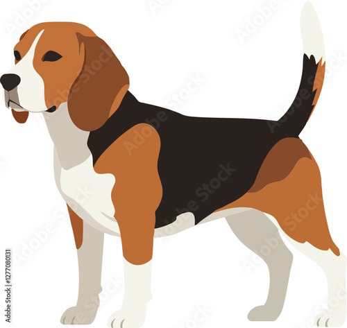 Playful beagle dog standing confidently with a brown, black, and white coat in a minimalistic flat design vector illustration