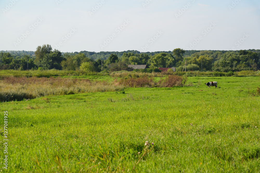 Countryside landscape in August in Russia